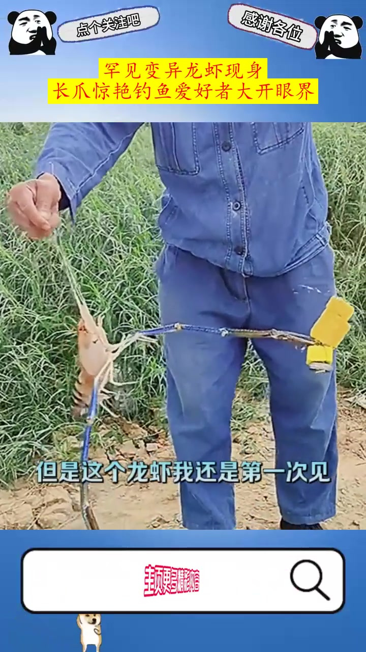 罕见变异龙虾现身,长爪惊艳钓鱼爱好者大开眼界!