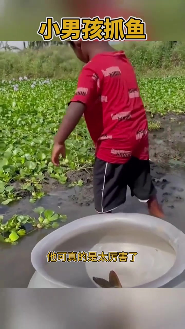 看着国外小男孩抓鱼的方式有模有样的