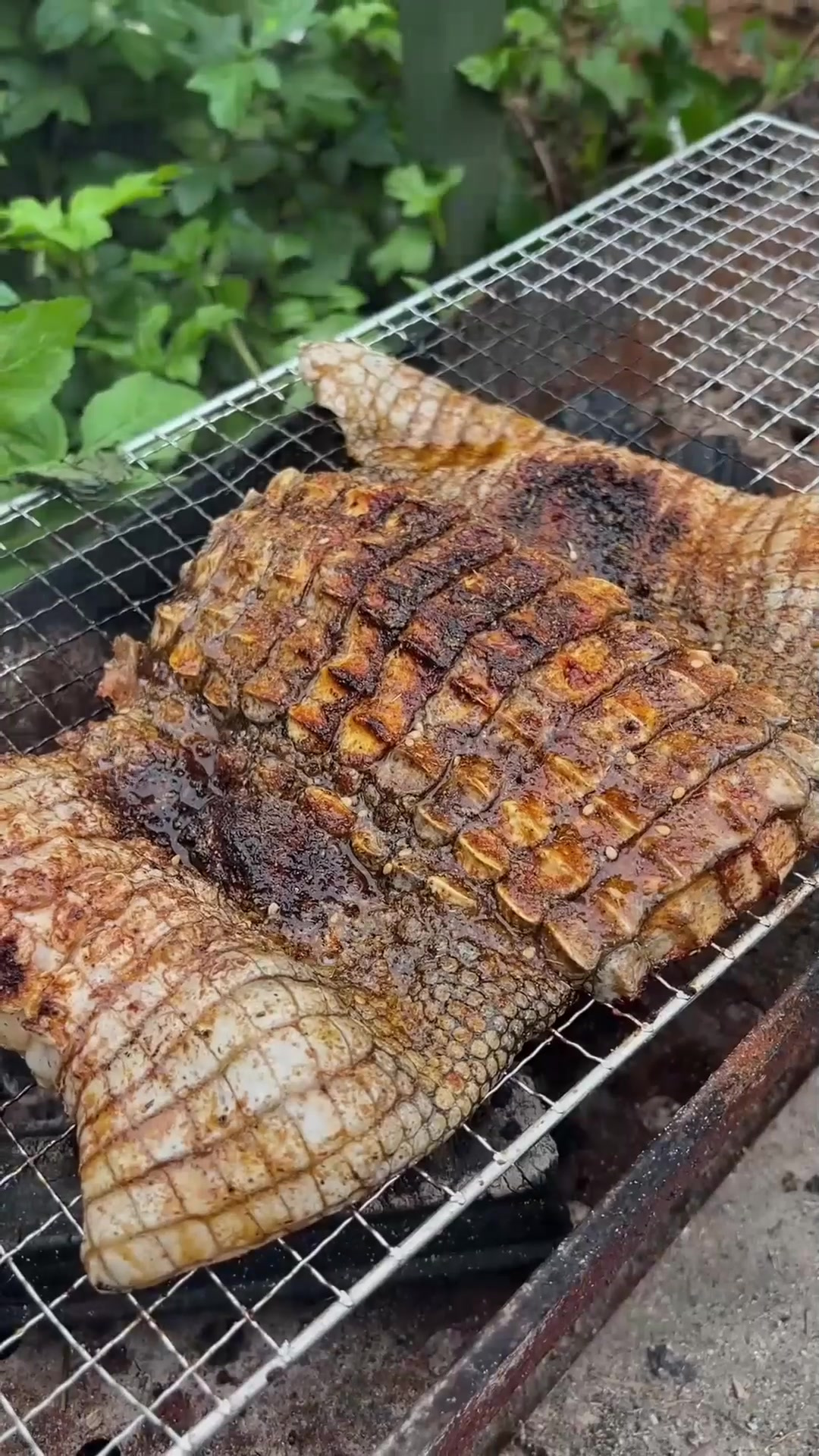 鳄鱼皮也能吃?下次用它做一双切尔西