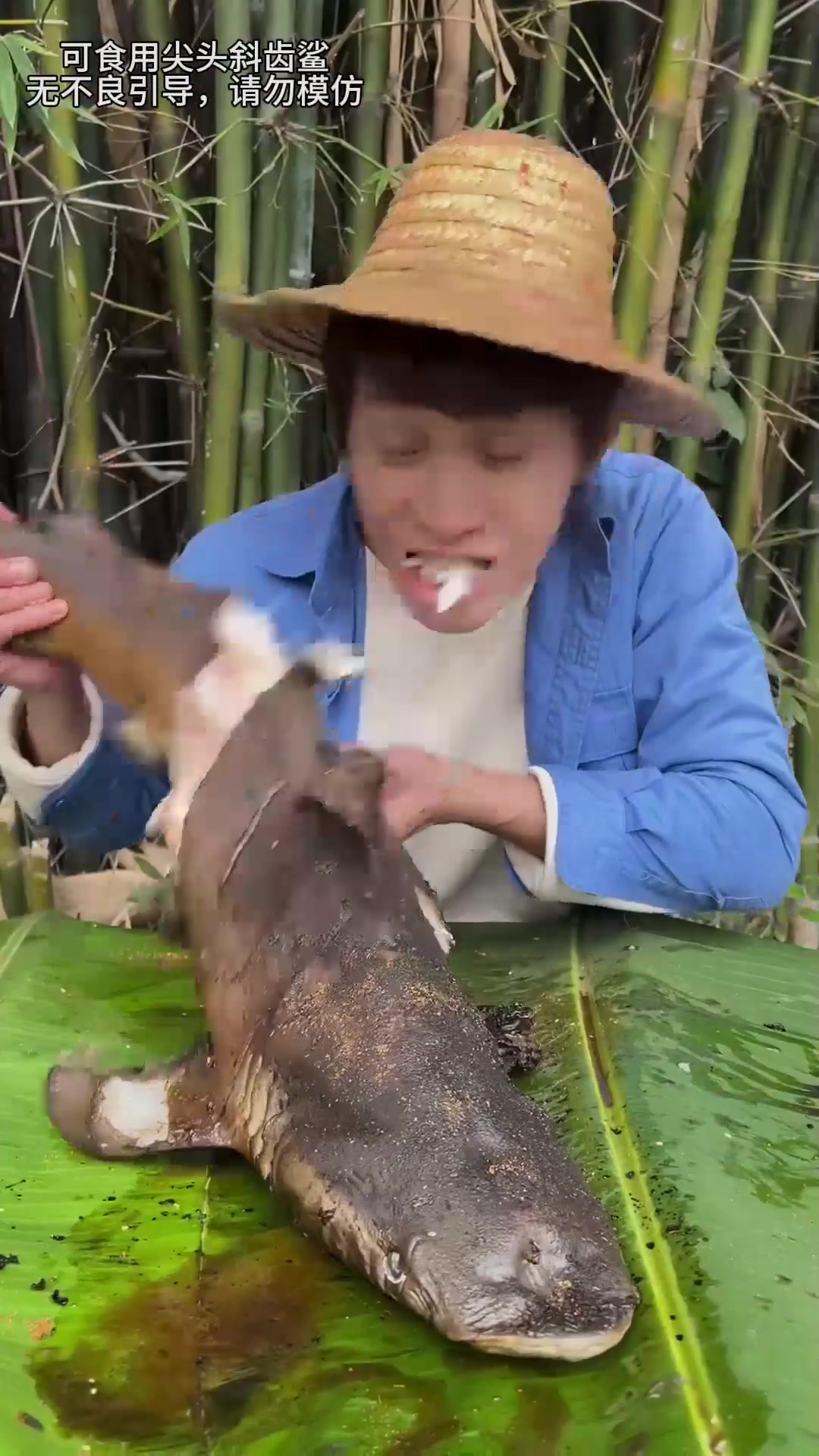 吃鲨鱼有什么需要注意的吗?