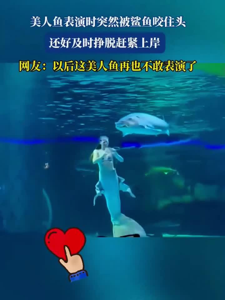 美人鱼表演时突然被鲨鱼咬住头，还好及时挣脱赶紧上岸