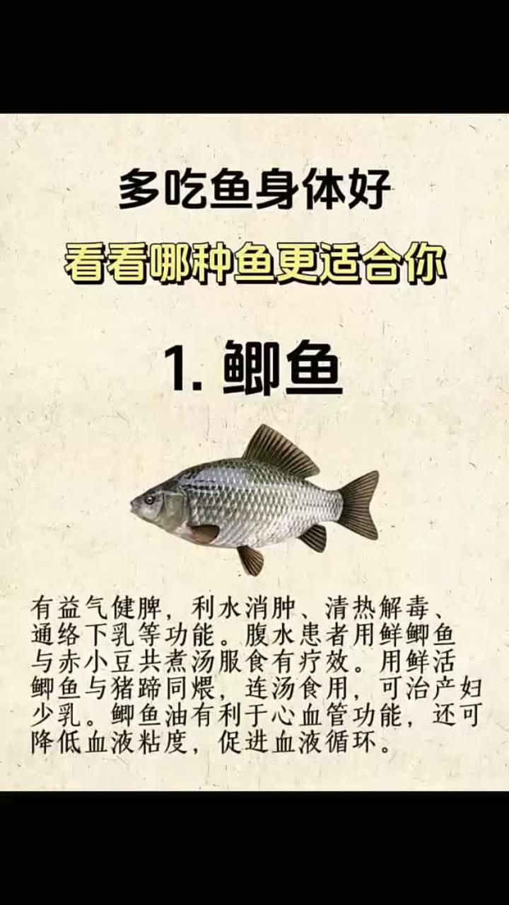 多吃鱼身体好，看看哪种鱼更适合你