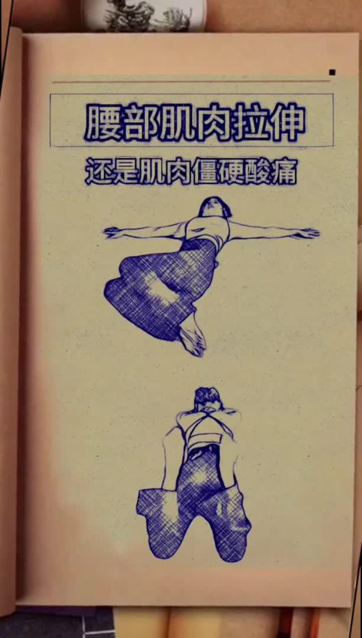 一起来锻炼,腰部肌肉拉伸