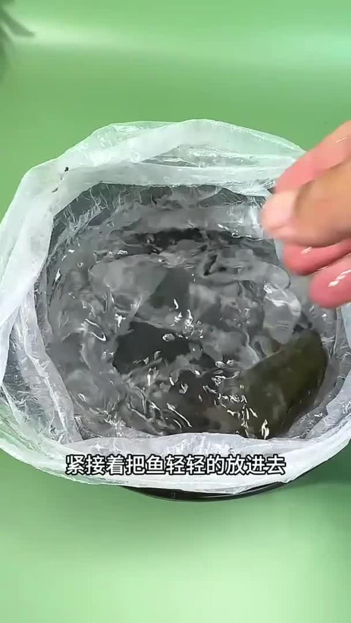保存活鱼小妙招