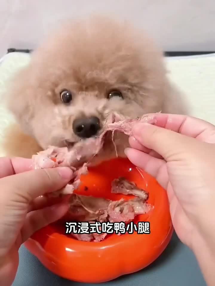 好吃补钙不上火的鸭小腿,酥到骨头都能吃