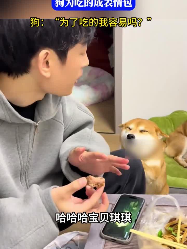 男子买绝味鸭脖回家吃，狗为吃的成表情包