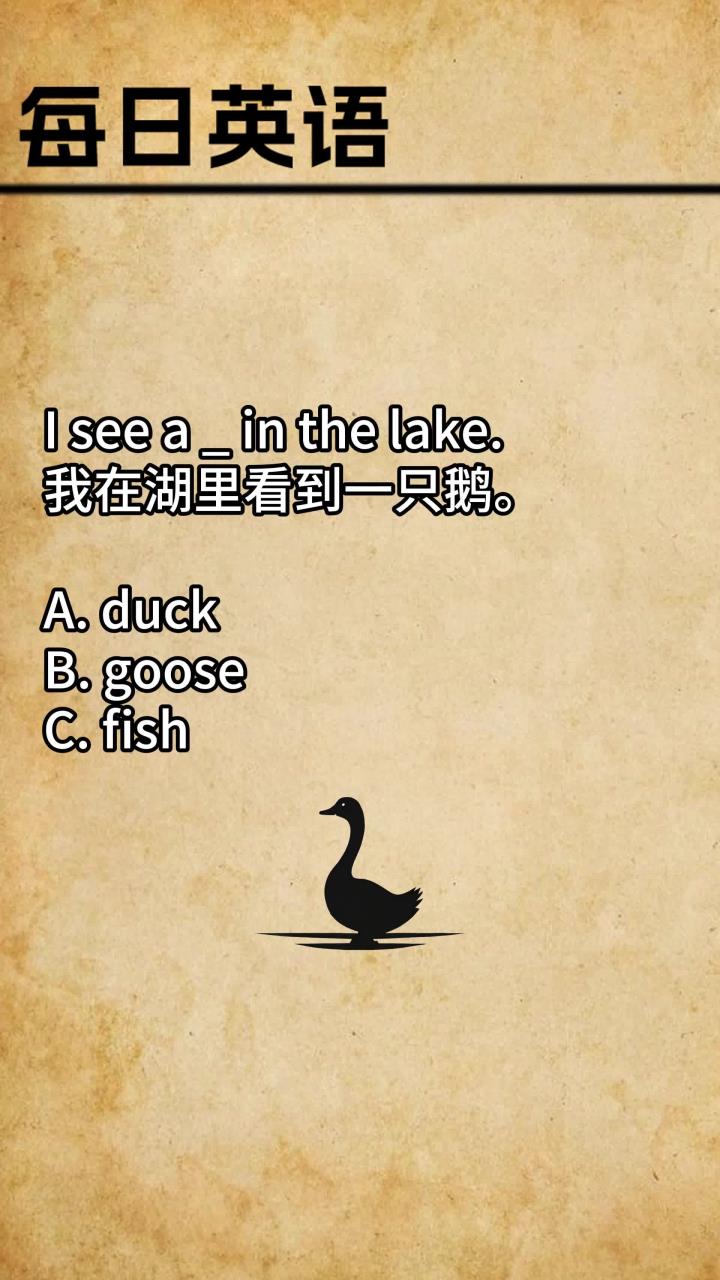 一个英语单词每天,这个视频教你掌握