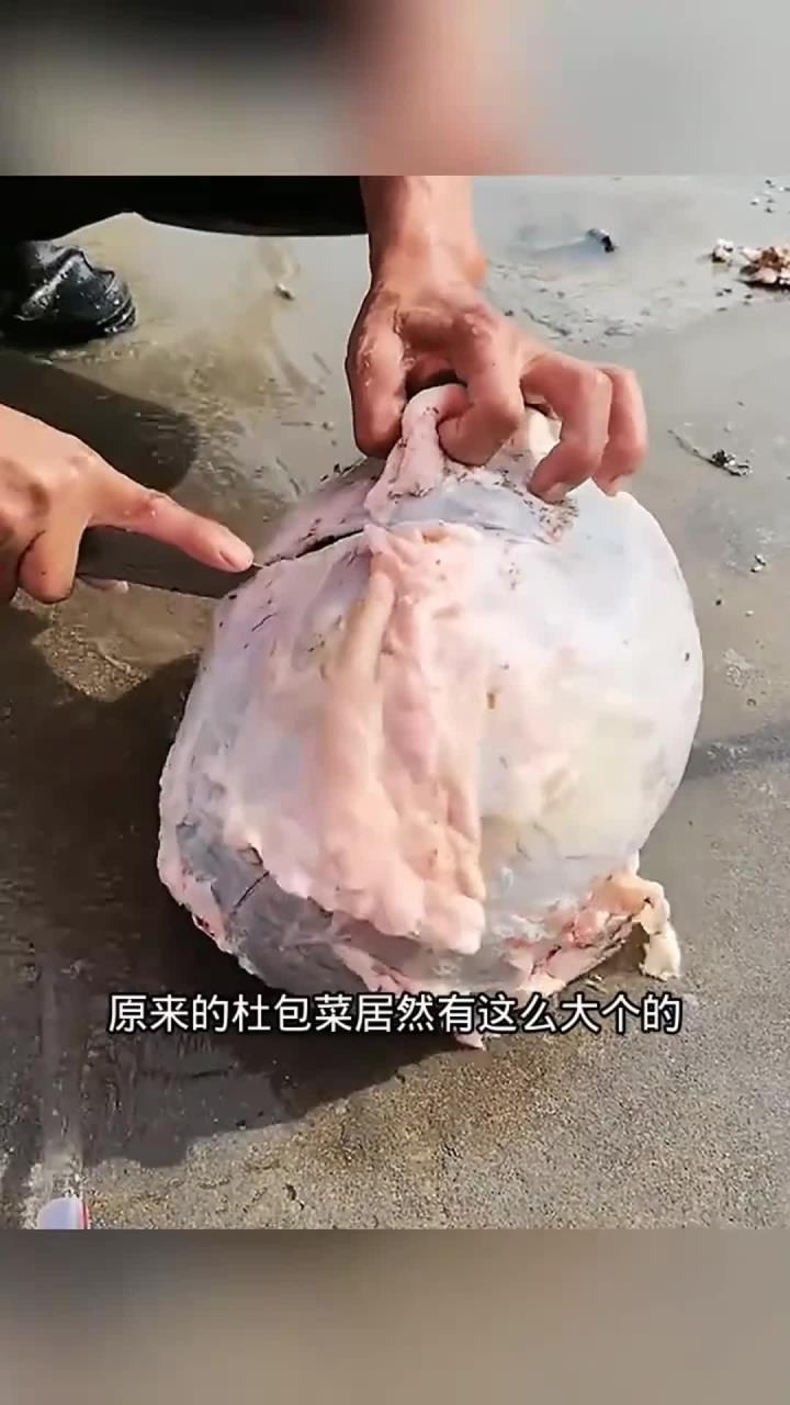 肚包肉制作,原来这样制作的!