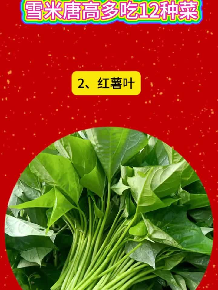 控糖必看!12种助降血糖的蔬菜清单