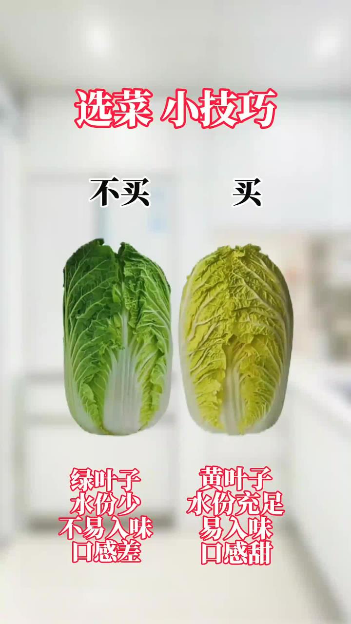 选菜小技巧 菜的功效与作用 挑选好蔬菜营养价值高