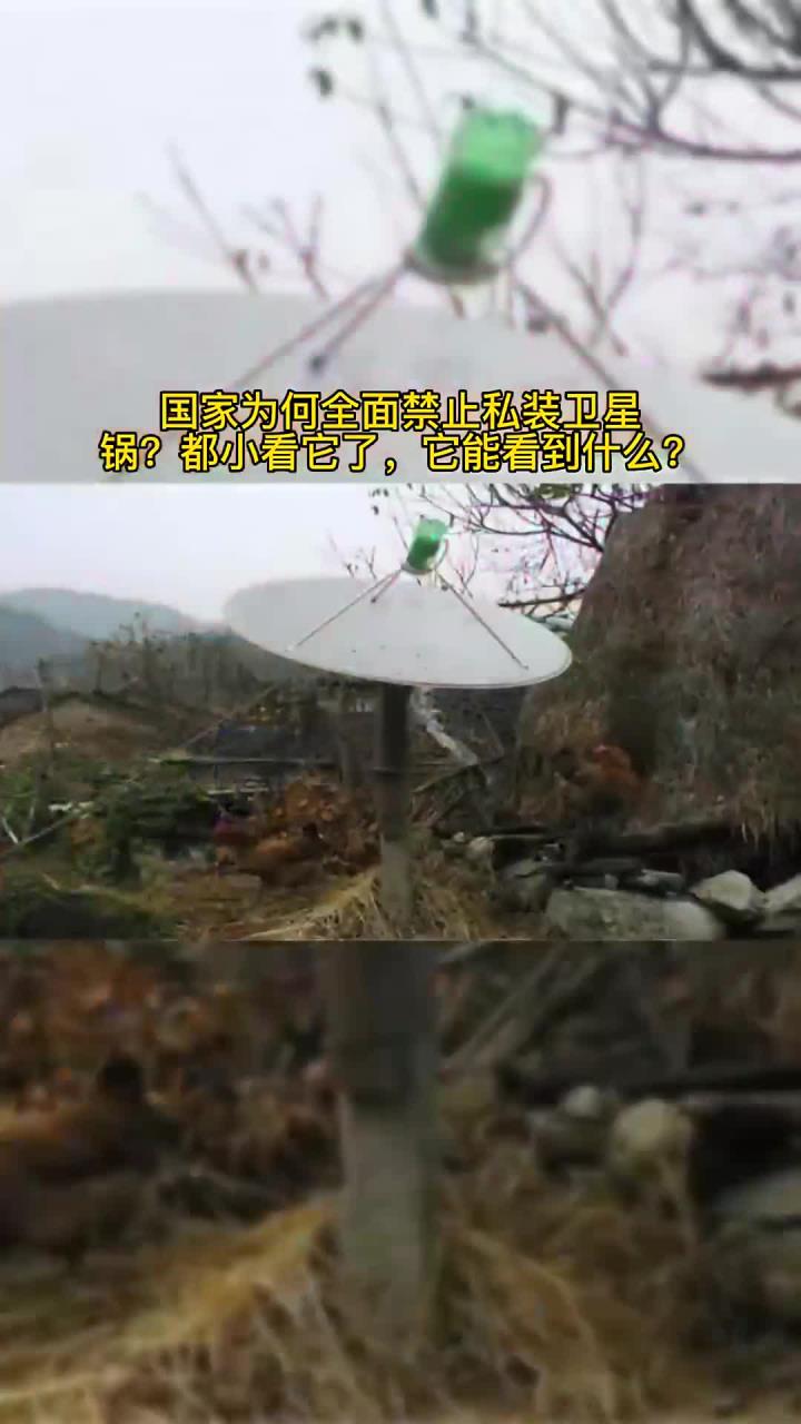 它究竟有什么危害?