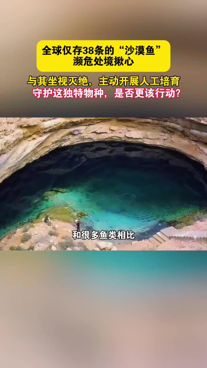 全球仅存38条的“沙漠鱼”,濒危处境揪心!