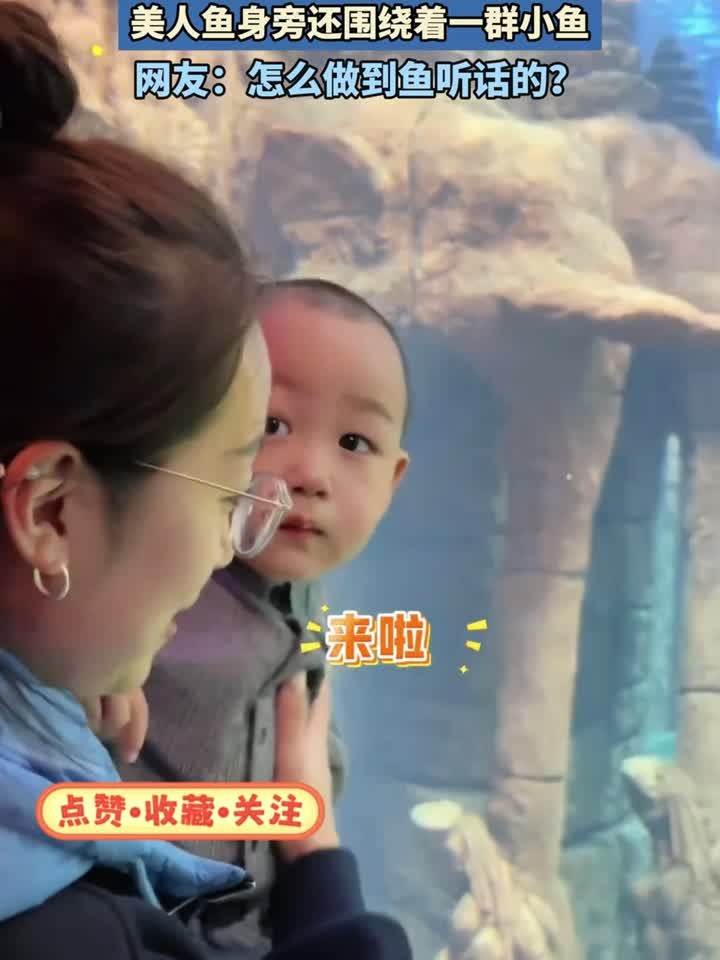 宝宝心心念念的美人鱼出现了，美人鱼身旁还围绕着一群小鱼