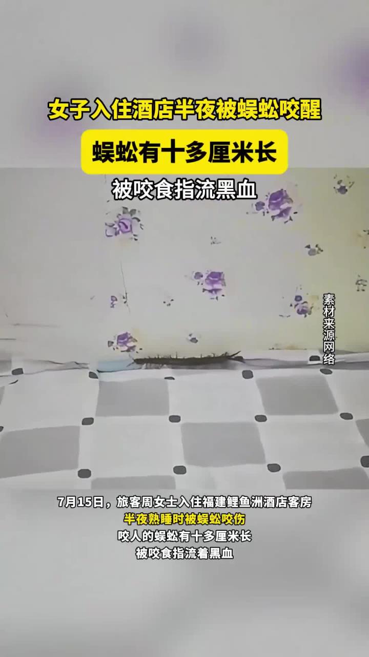 女子入住酒店半夜被蜈蚣咬醒