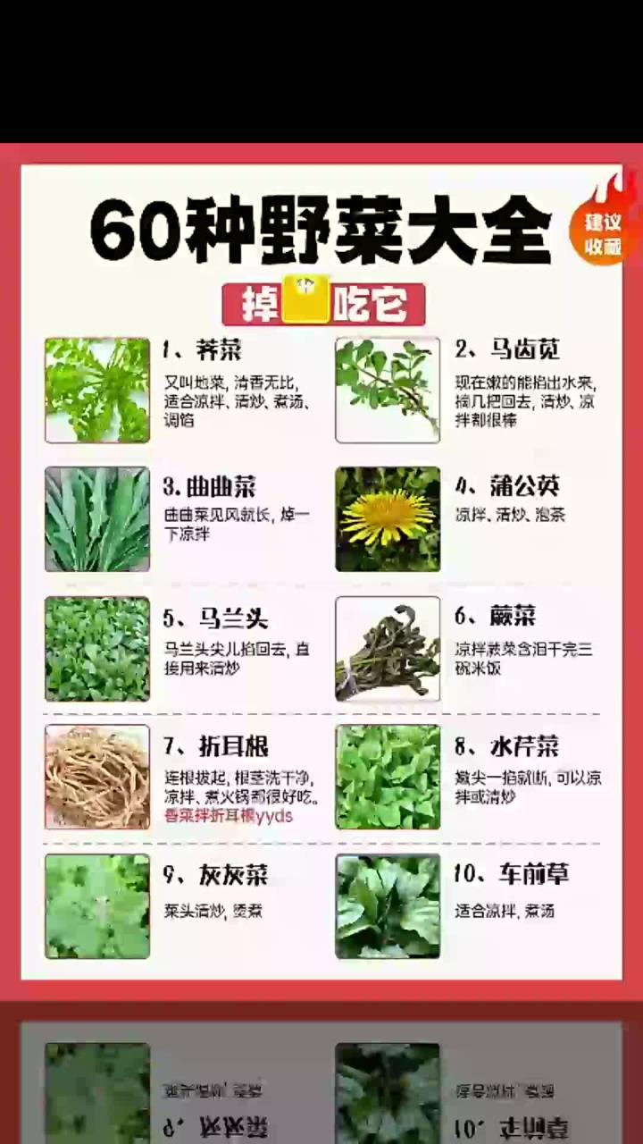 60种野菜大全,掉秤掉得快