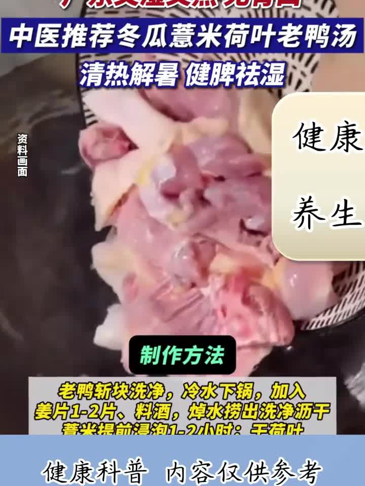 夏日湿热没胃口？中医妙招：冬瓜薏米荷叶老鸭汤，清热解暑！