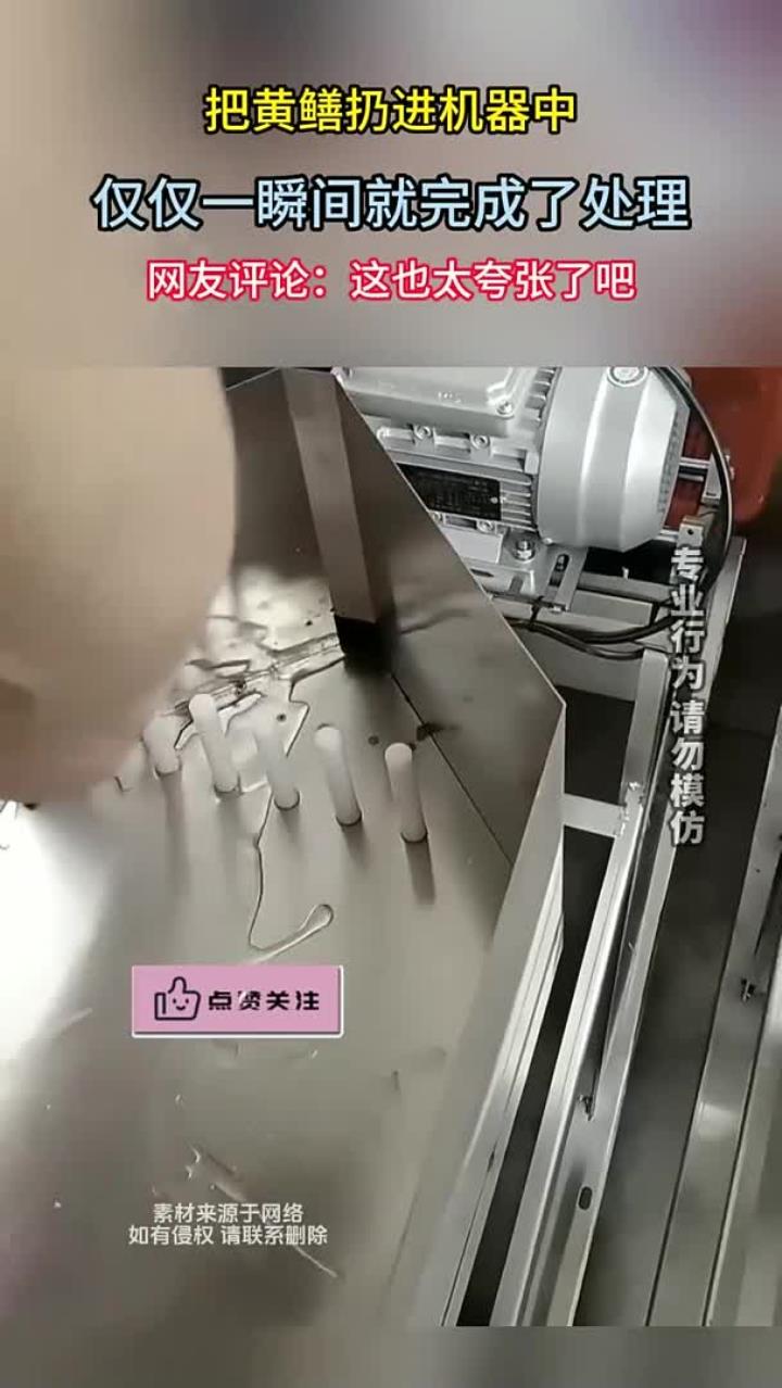 把黄鳝扔进机器里,仅一瞬间就完成处理,网友:这也太夸张了吧