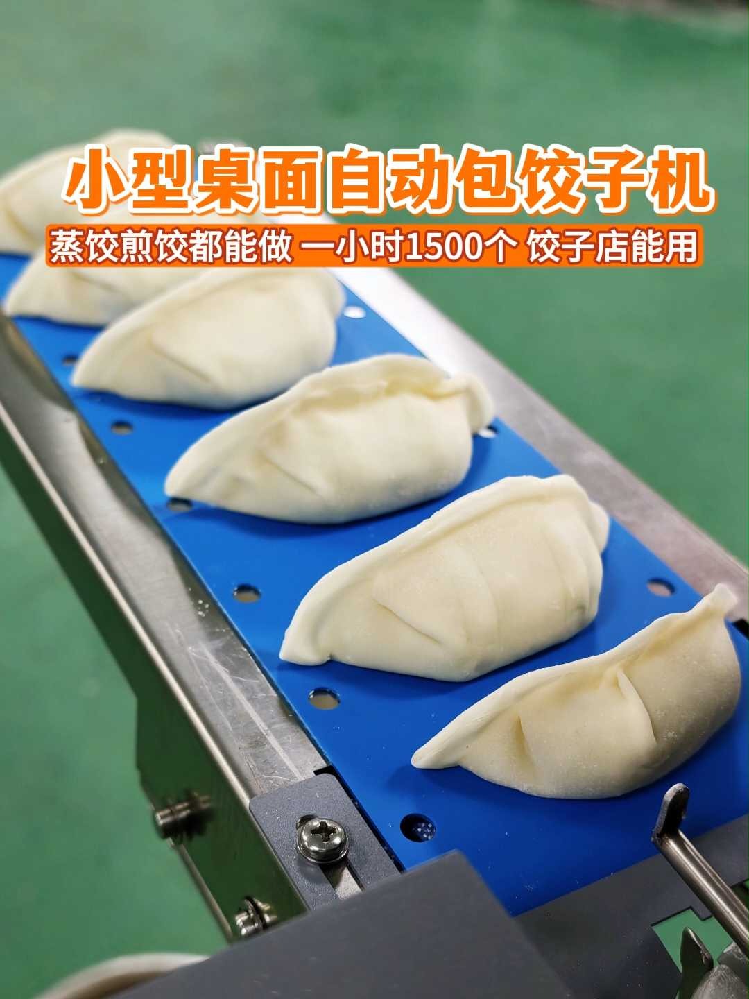 小型桌面自动包饺子机蒸饺煎饺都能做