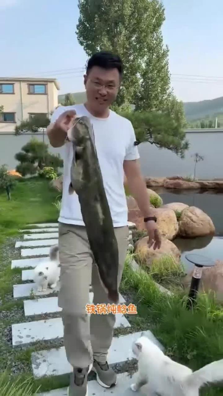 估计在我们家这群猫的眼里,这顿铁锅鲶鱼是抢了它们的食物链