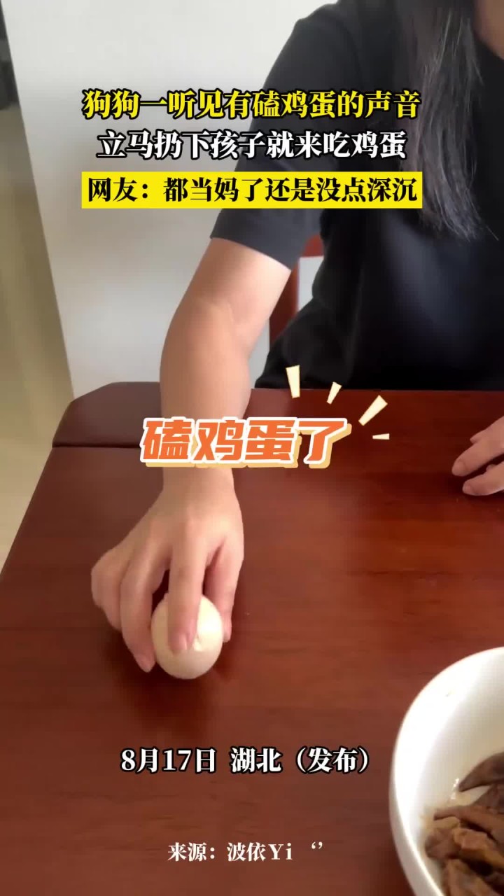 狗狗一听见有磕鸡蛋的声音,立马扔下孩子就来吃鸡蛋