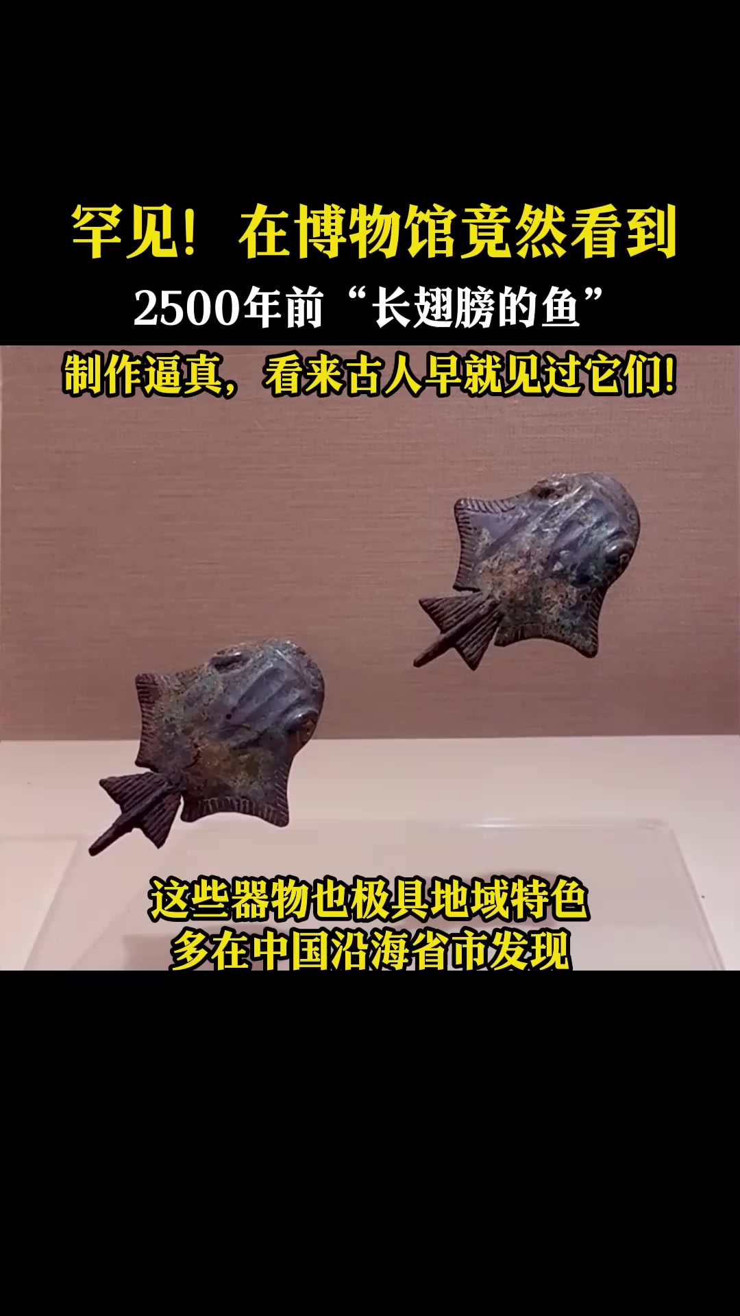 罕见!在博物馆看到2500年前“长着翅膀的鱼”,制作逼真