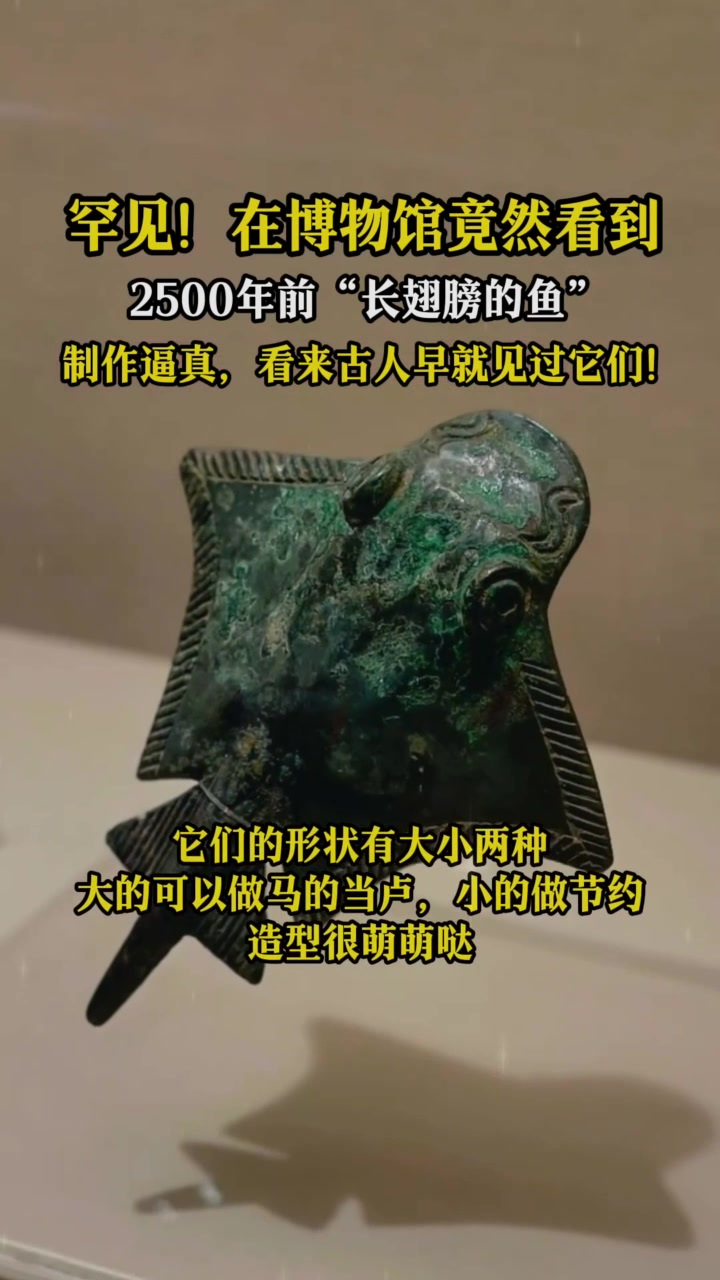 罕见!在博物馆看到2500年前“长着翅膀的鱼”,制作逼真
