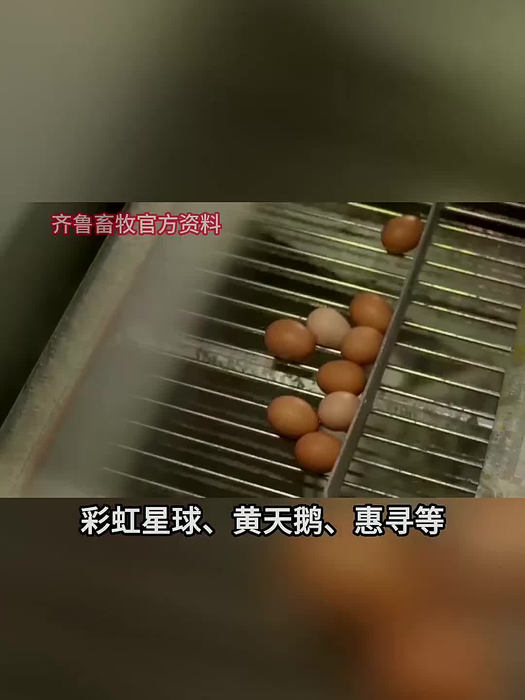 富硒鸡蛋瞎扯淡第七期:逸清源、齐鲁畜牧鸡蛋硒含量惊人,对婴幼