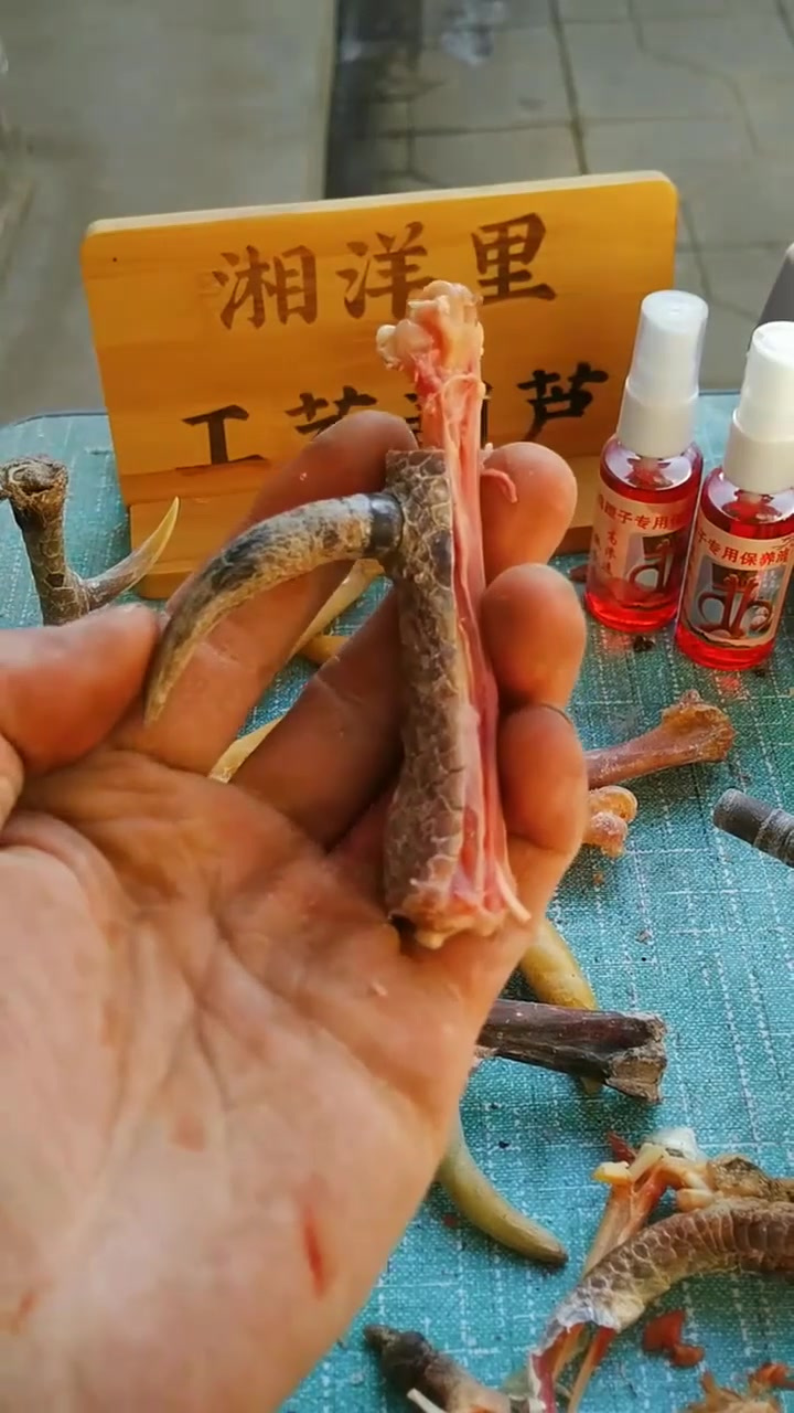 文玩鸡蹬子鸡爪鸡脚足骨
