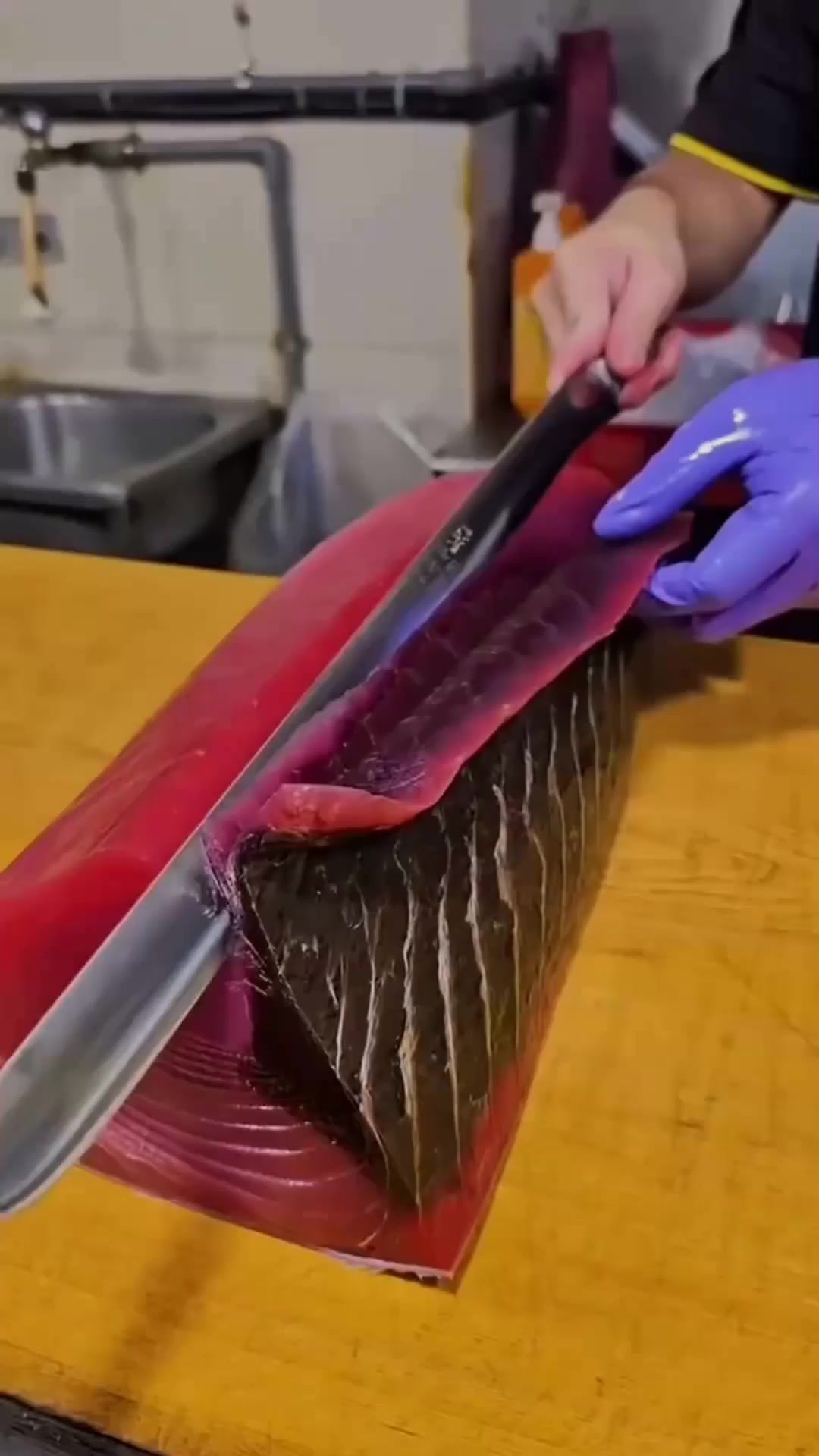 为什么金枪鱼的某些肉会这么深 (1)