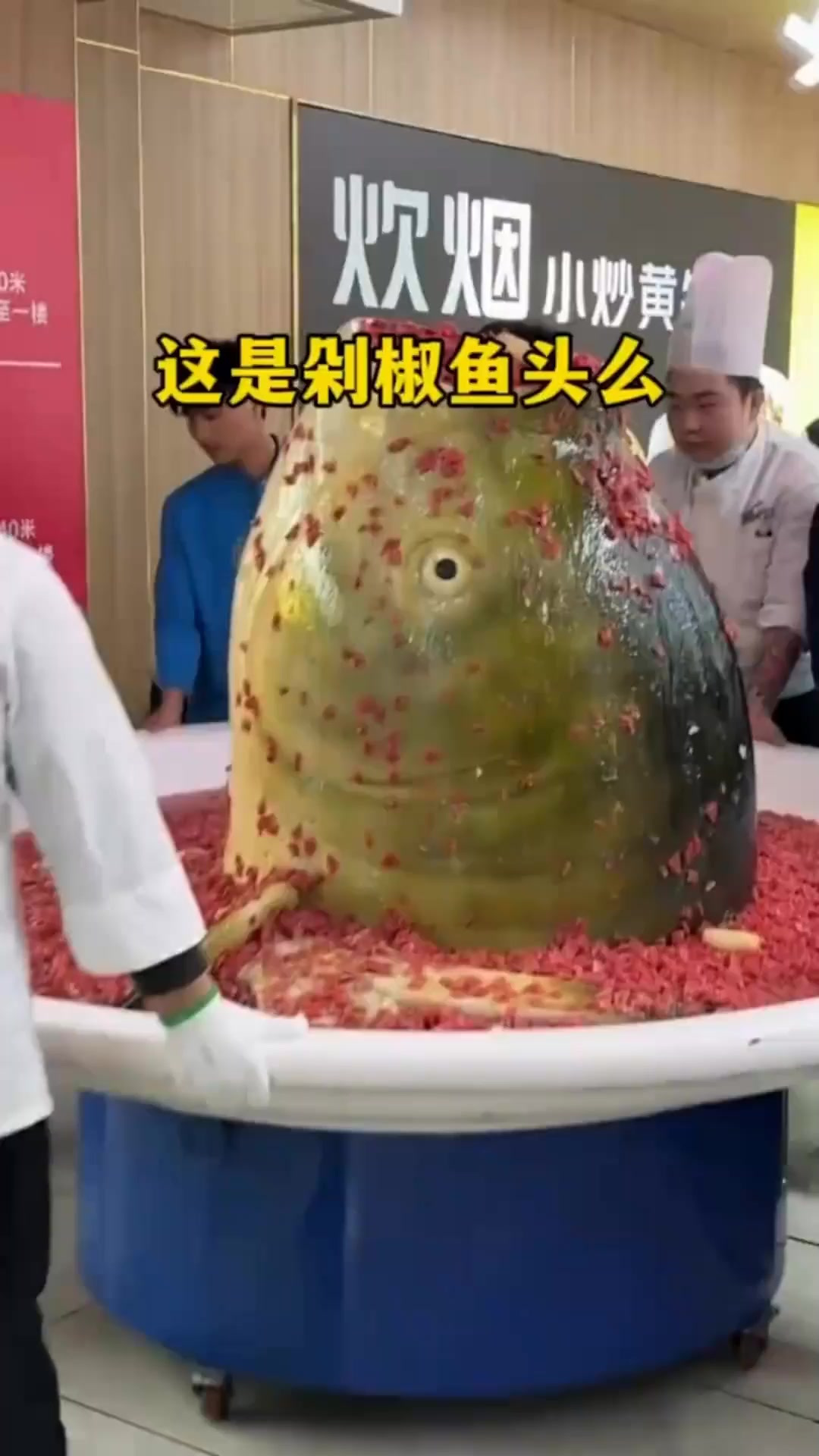 这么大的鱼头还是第一次见