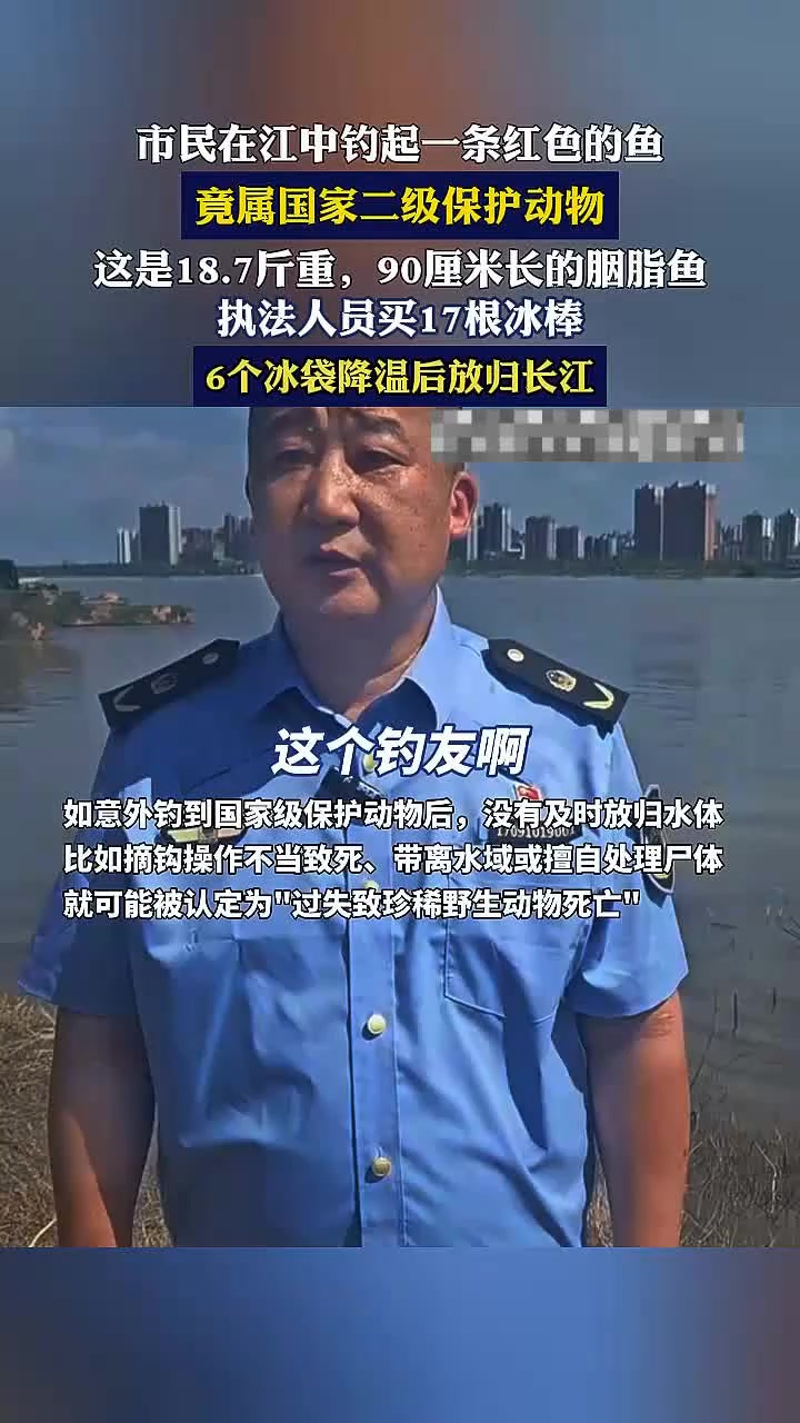 市民在江中钓起一条红色的鱼,竟属国家二级保护动物