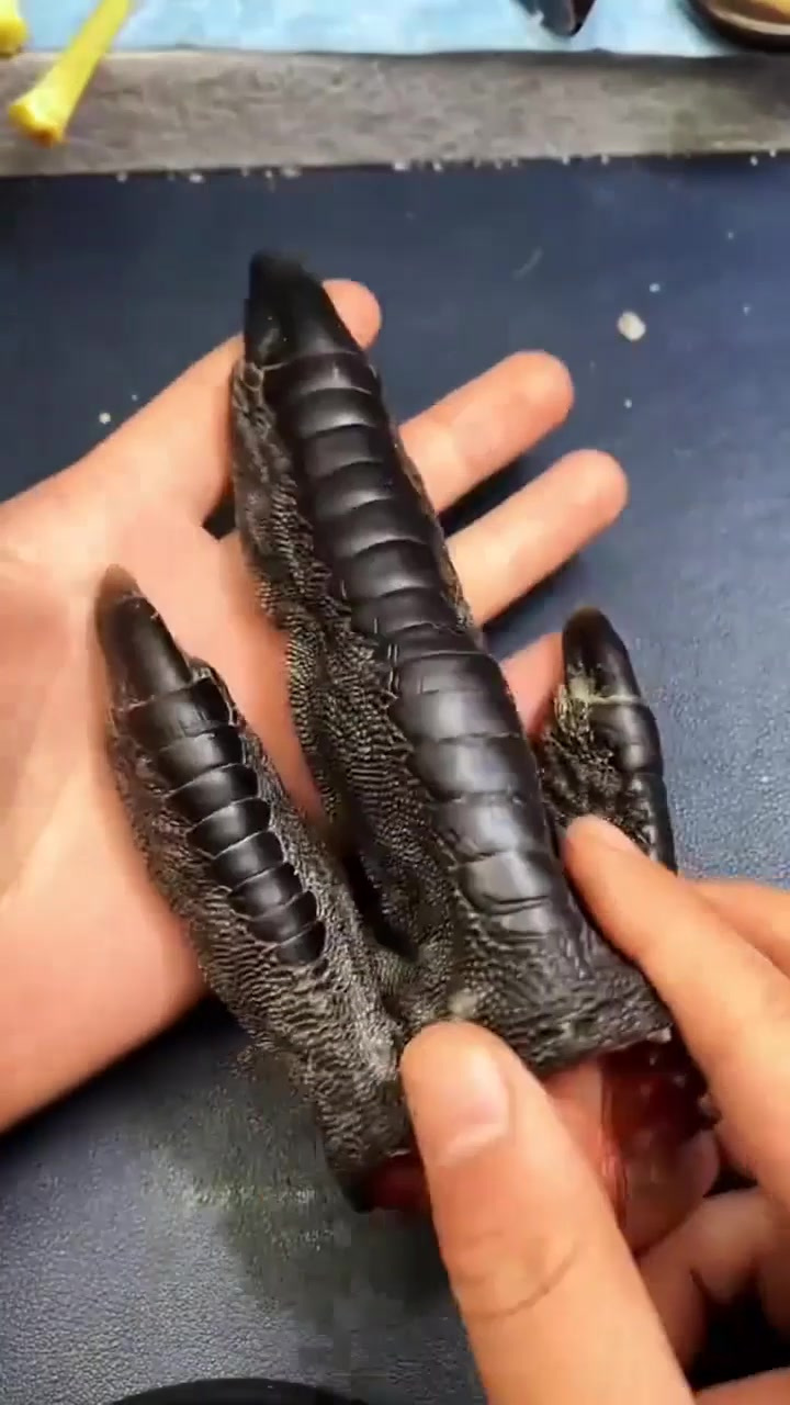 文玩鸡爪骨,文玩鸡蹬子,澳洲溜达鸡,问问你爷爷见过这个