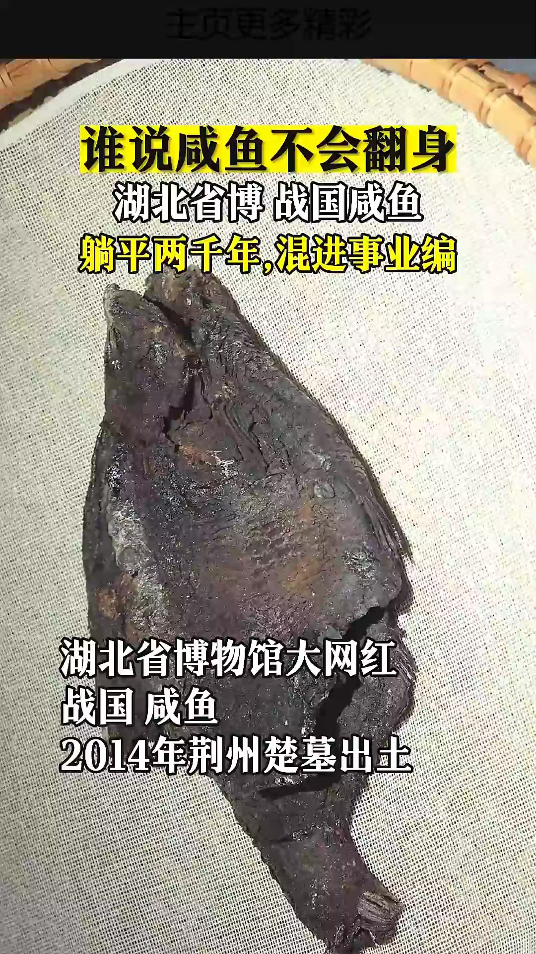 两千年前的咸鱼,翻身了!