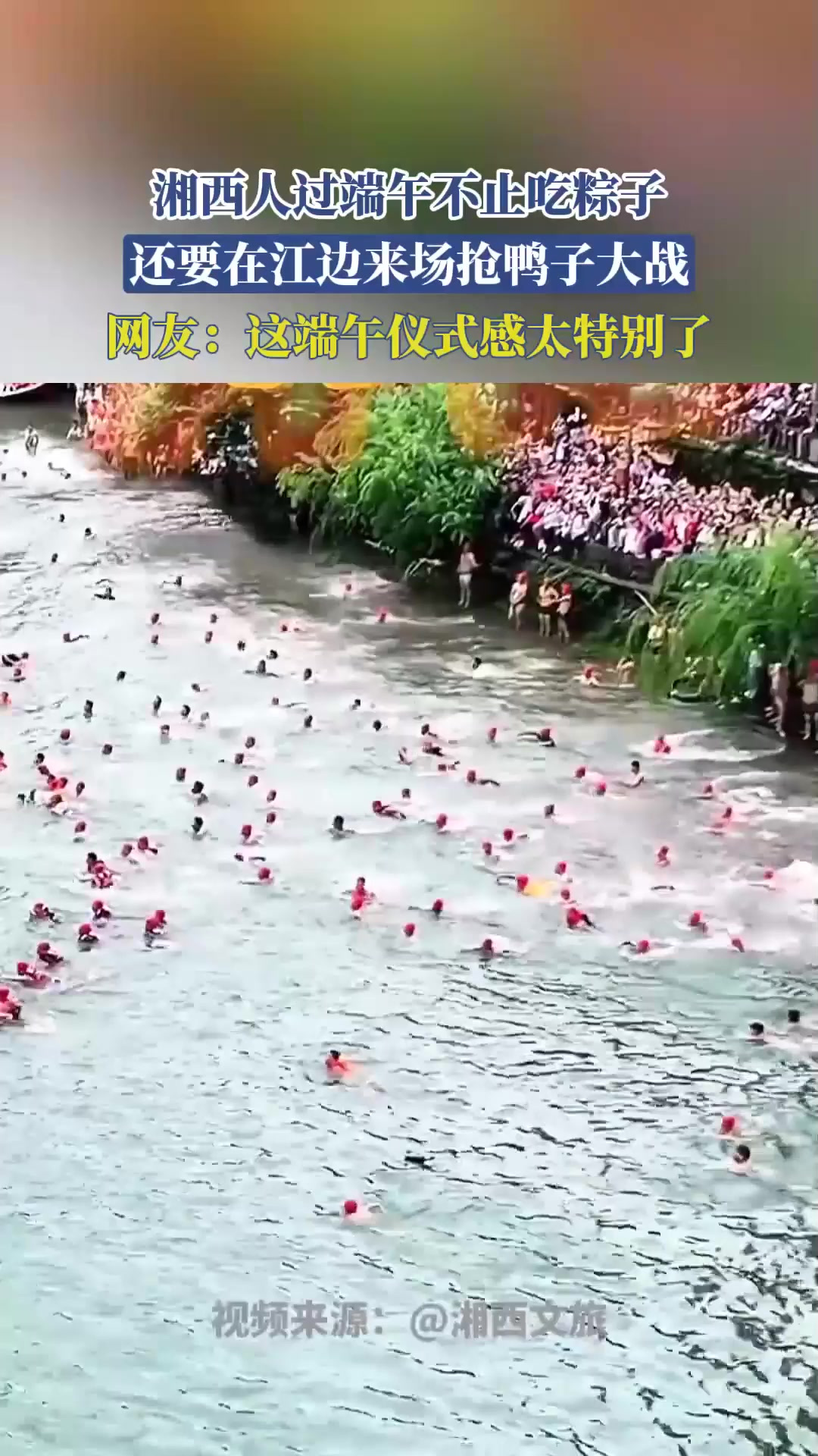 湘西人过端午不止吃粽子,还要在江边来场抢鸭子大战