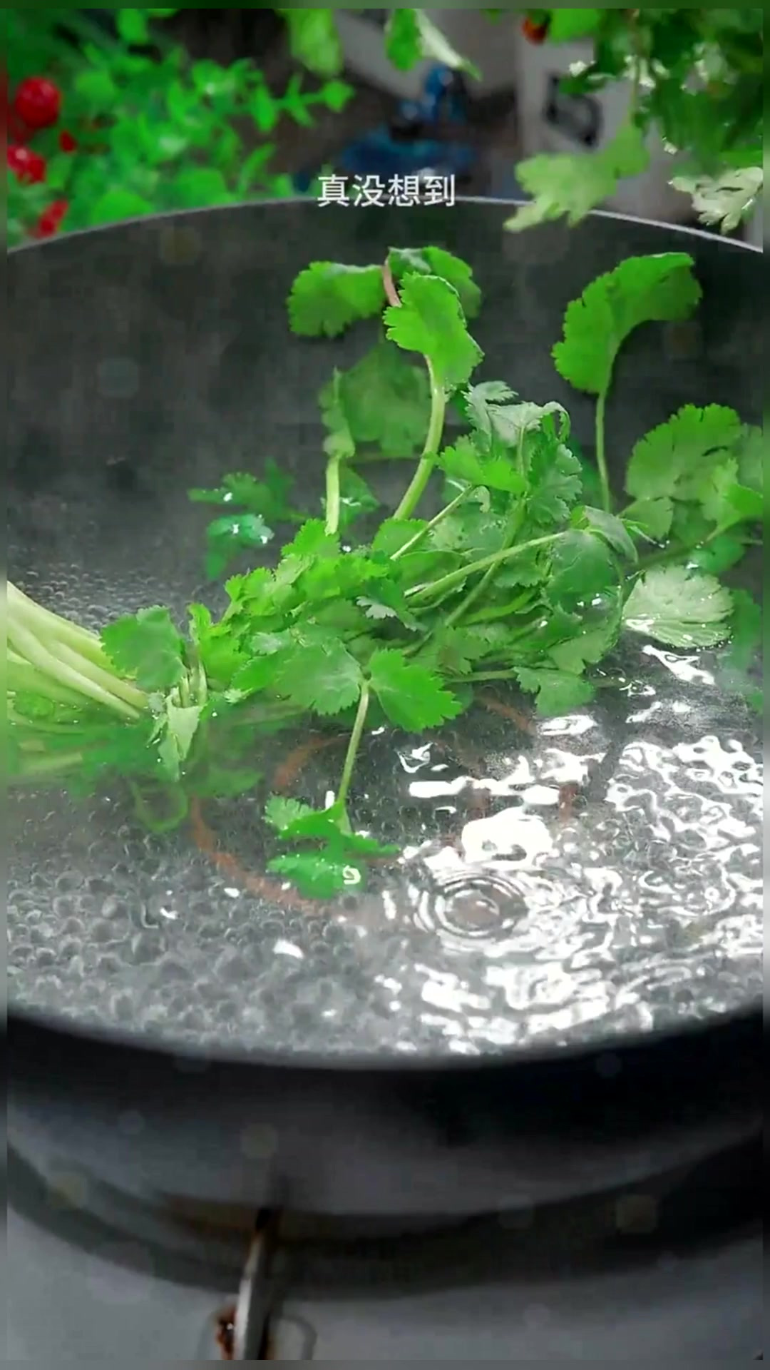 香菜丸子 这样做的香菜丸子,鲜香滑嫩,好吃不油腻,大小朋友都