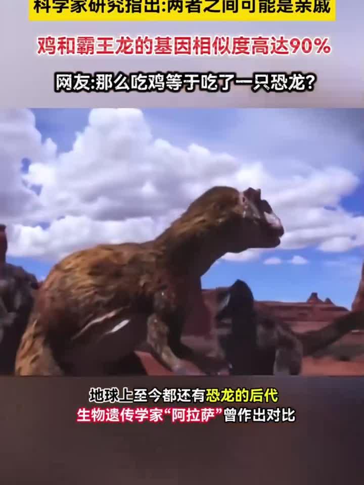 鸡的祖先竟然是霸王龙?研究发现 -两者基因相似度高达90%