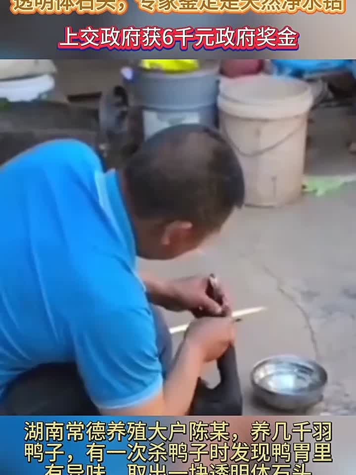 鸭胃里的透明净水钻