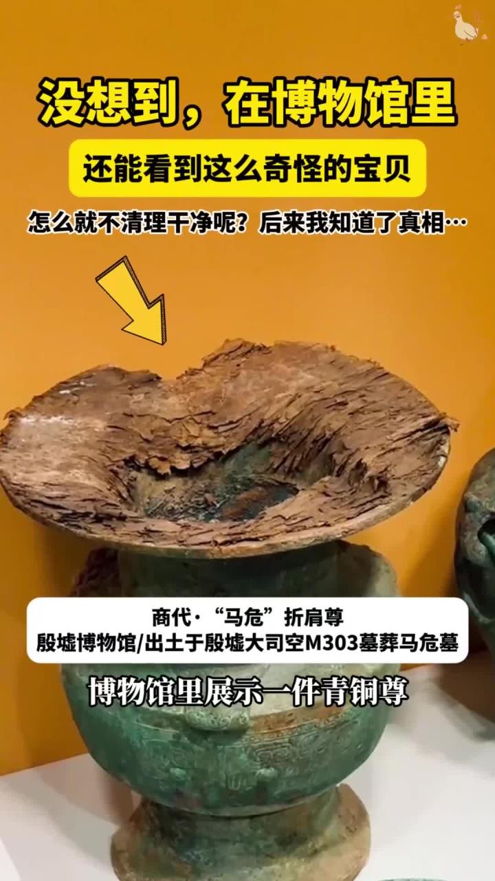 古墓里发现千年养生秘方,苏东坡竟然自制“鸡尾酒”……