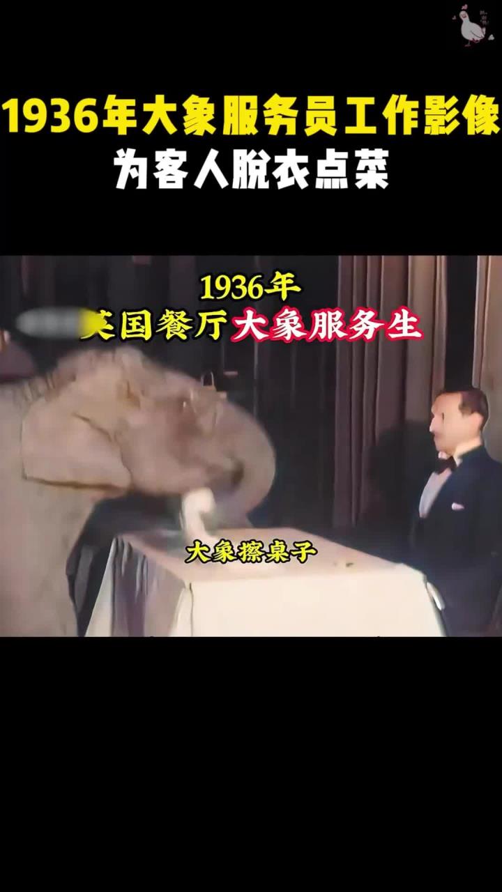 1936年大象服务员工作影像:为客人脱衣点菜,用鼻子开红酒点烟