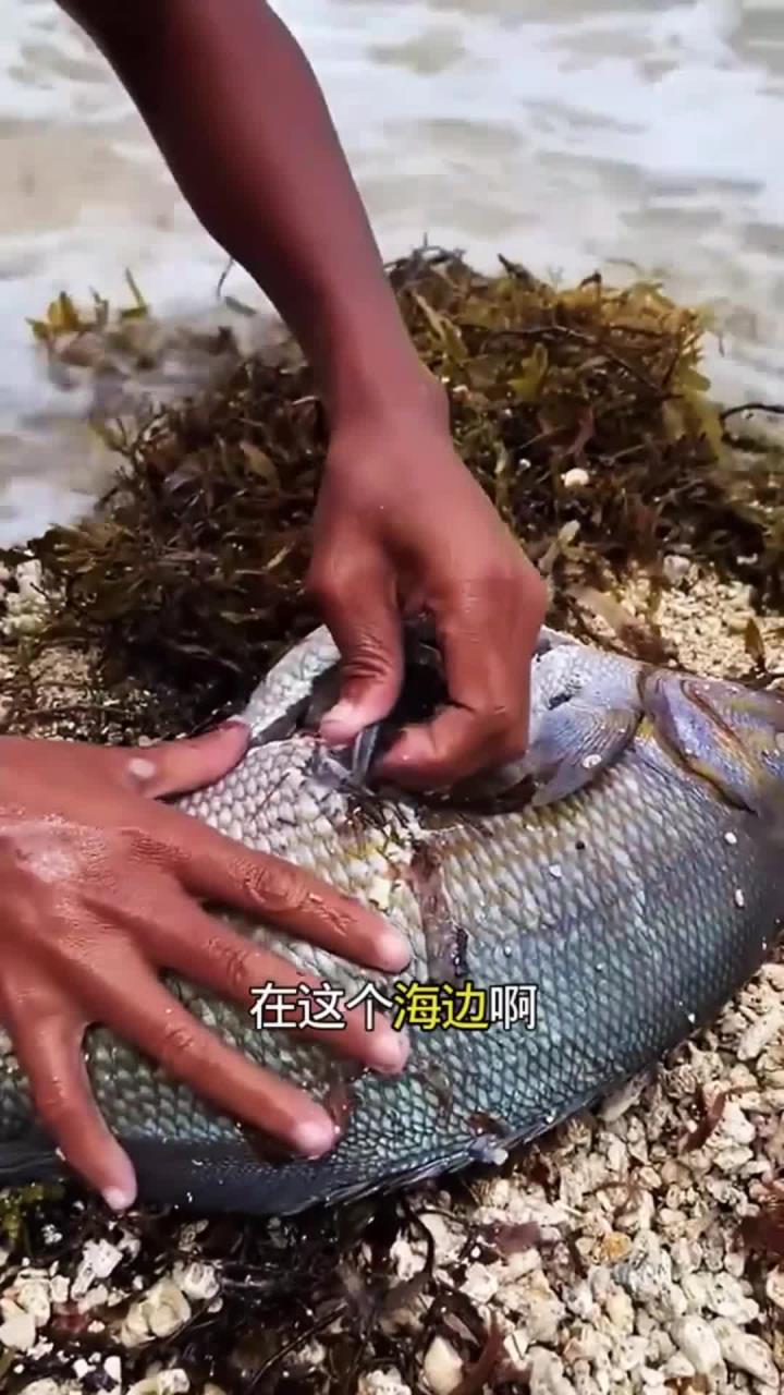 海边抓到一条大鱼