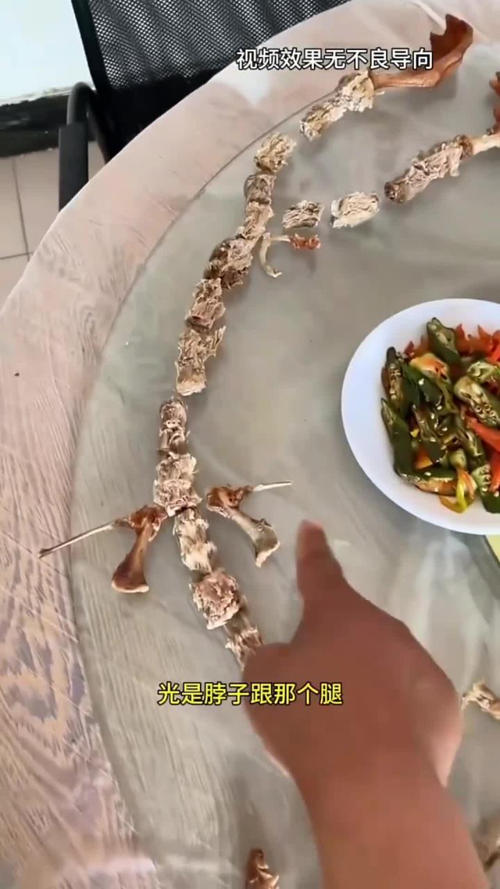 吃完一只鸭子的骨头