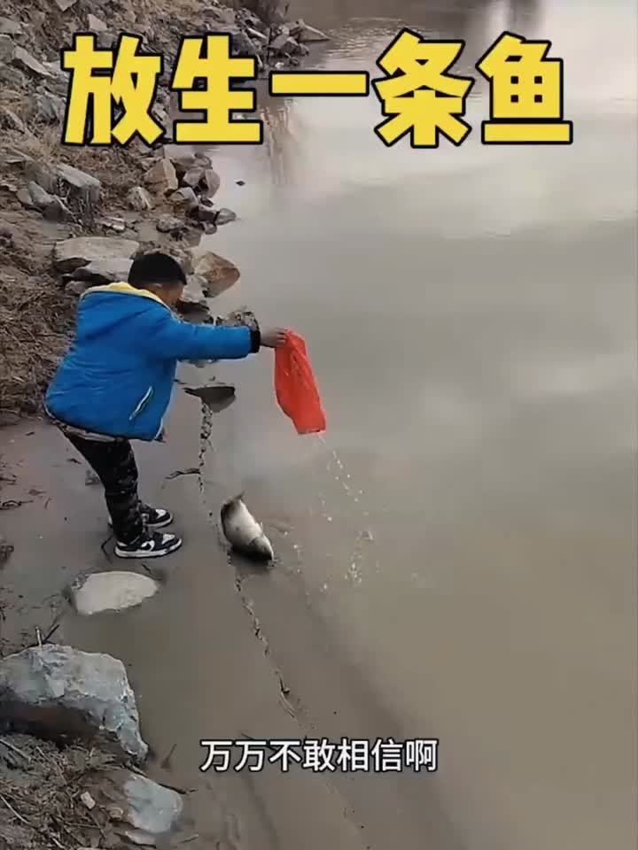 孩子因爱心放生鱼,令人感动又担忧其生存状态