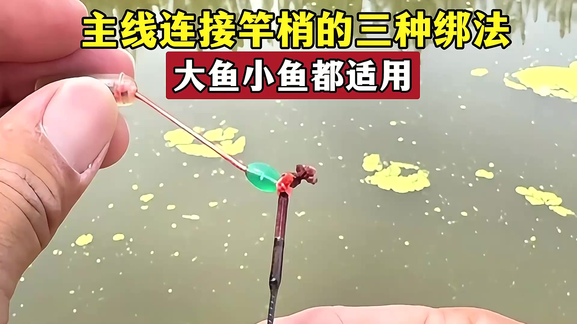 主线连接竿梢的三种绑法,大鱼小鱼都适用