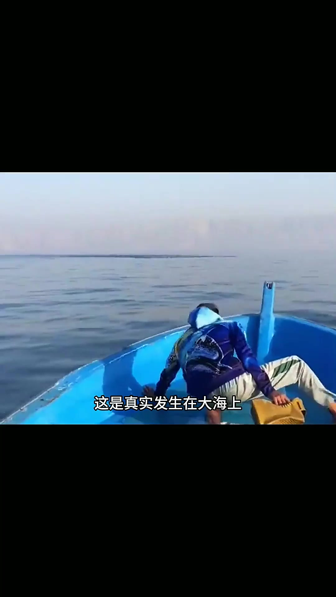 户外捕鱼:渔民最高兴的莫过于在大海上偶遇罕见的沙丁鱼风暴!
