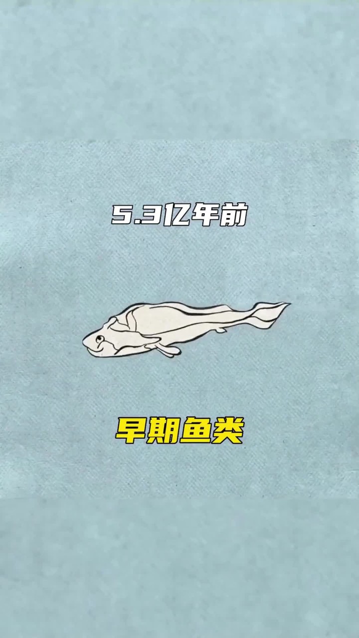 一个视频带你看懂从鱼到人类的演化过程，地球46亿年的沧海桑田才孕育了如今的人类