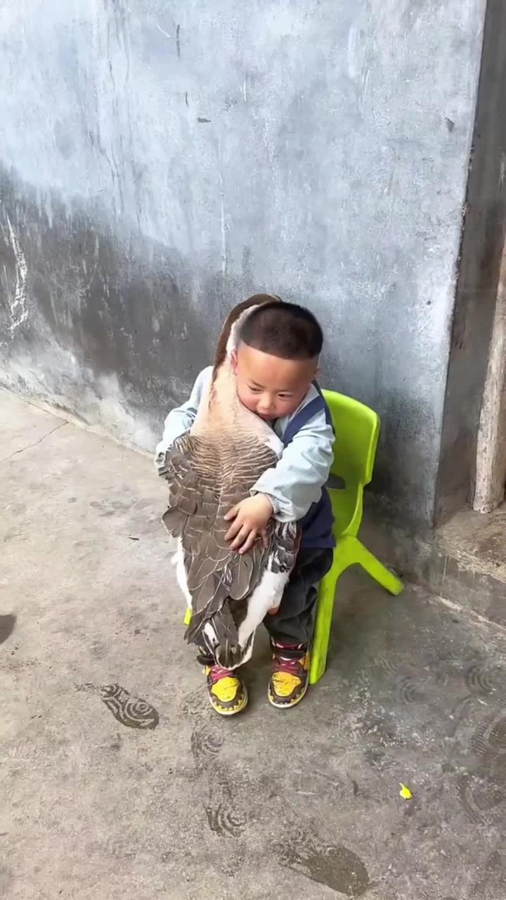 这是奶奶家养的大鹅