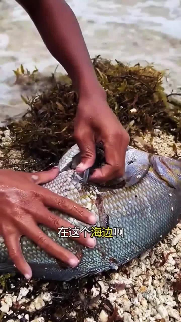 海边抓到一条大鱼