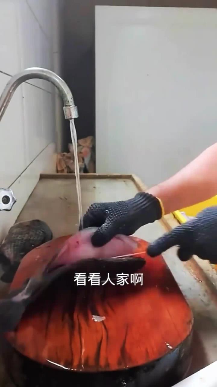 刺身鱼分割处理全过程