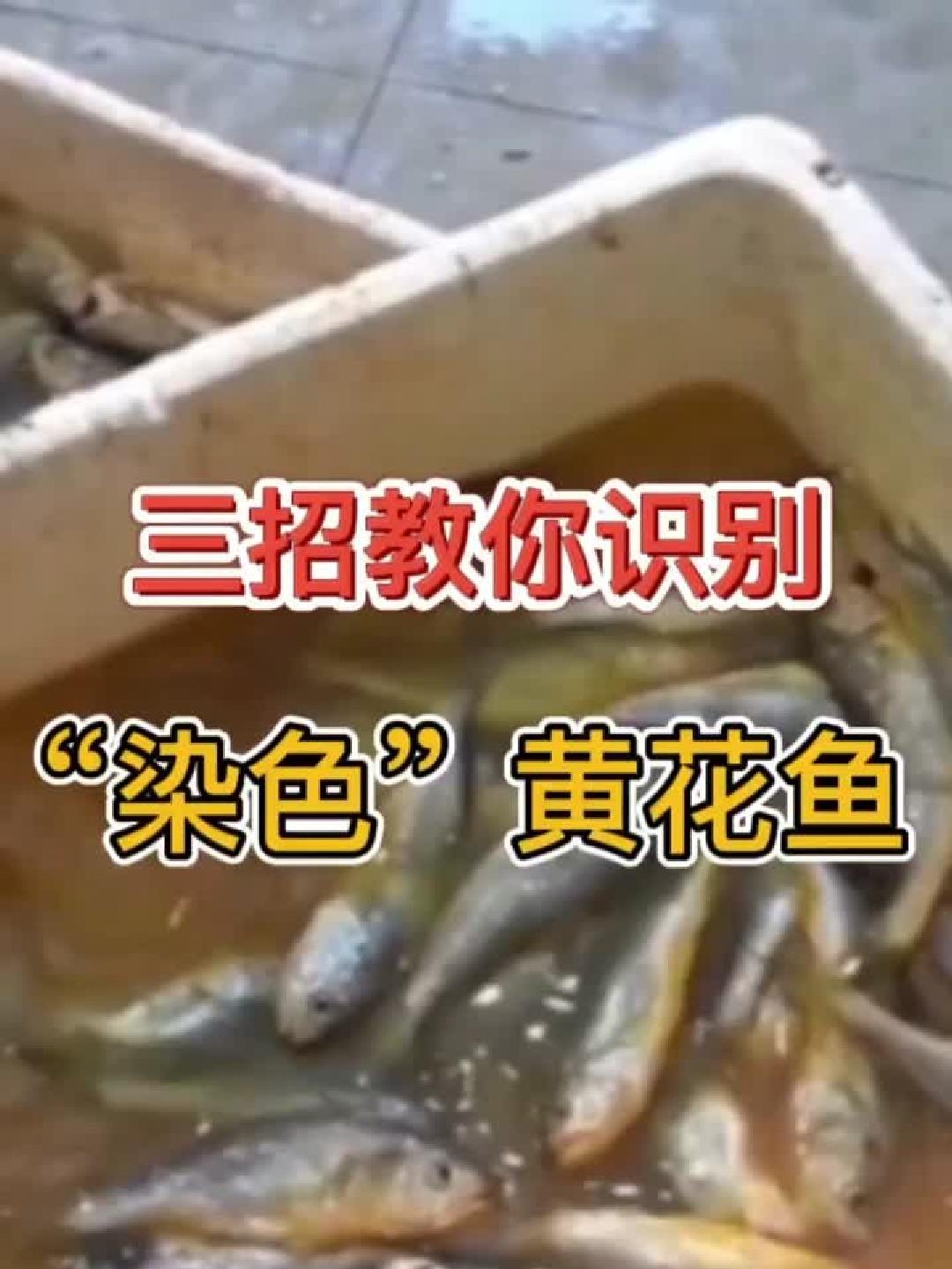 长期食用沙姜或悄然加重肝肾负担,揭开日常饮食中那些被忽视的健