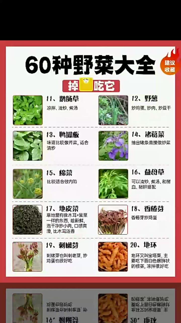 60种野菜大全,掉秤掉得快